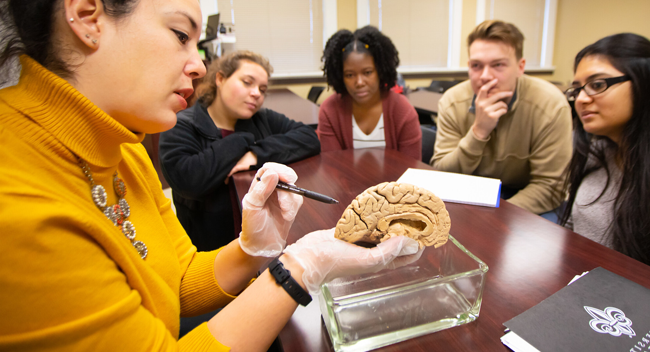 拉斐特大学的教授正在向一群学生展示一个大脑的雕塑