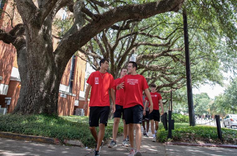 University of Louisiana at Lafayette students walking underneath a canopy of oak trees on campus